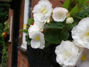 Image 58
